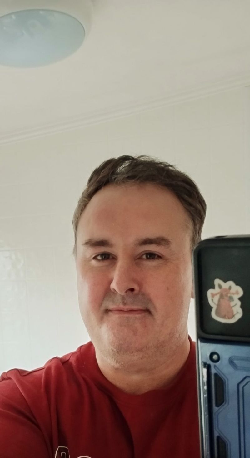 CelticBear